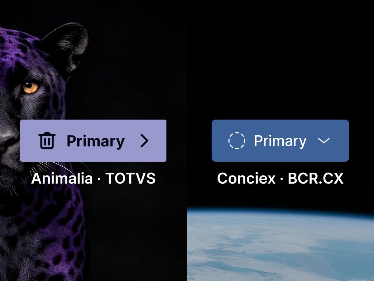 Componentes do Animalia e do design system da Conciex.